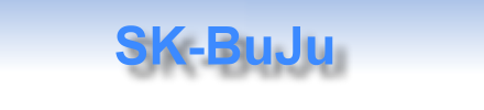 SKBuJuSplash